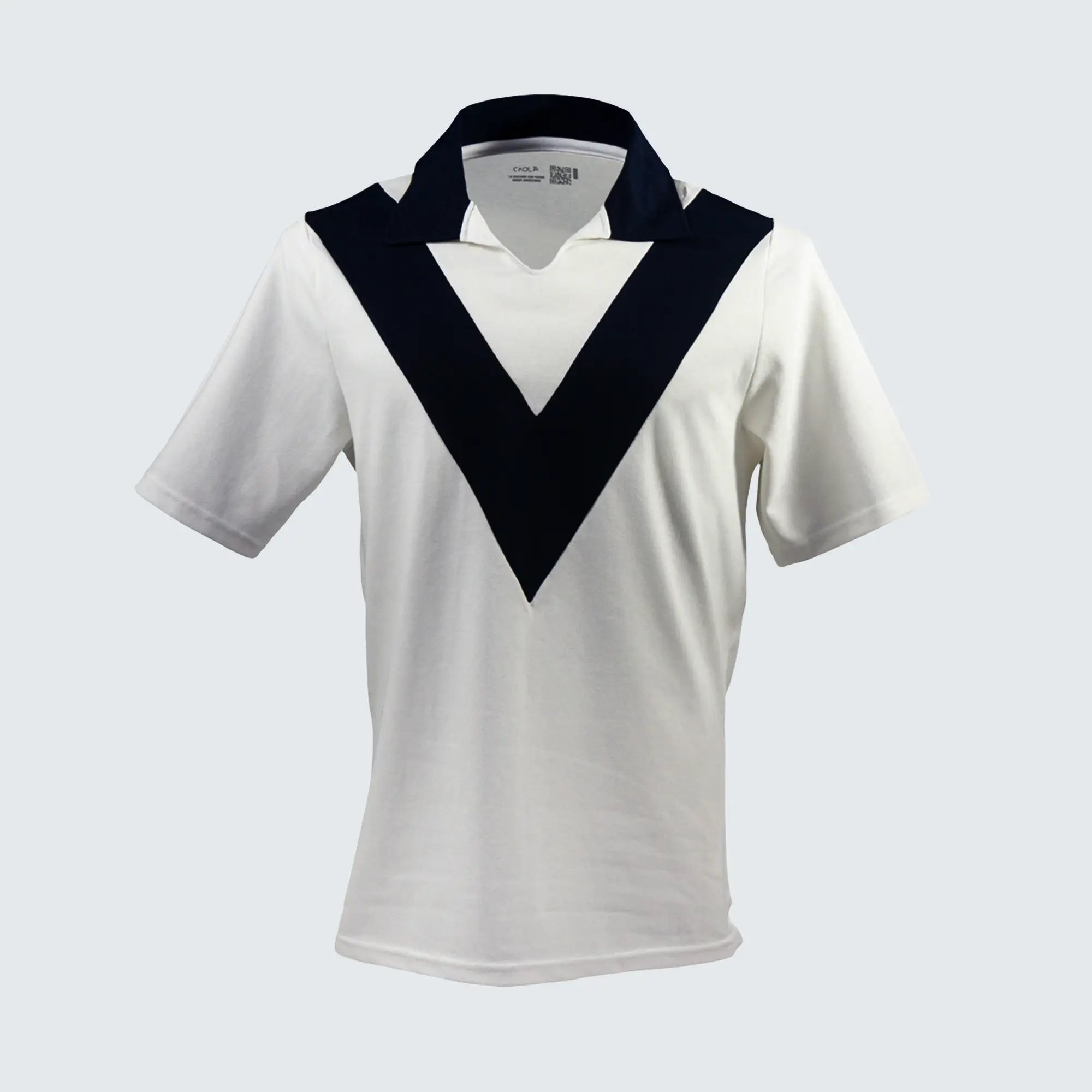 Velez Sarfield - El Fortin Campeón 1968