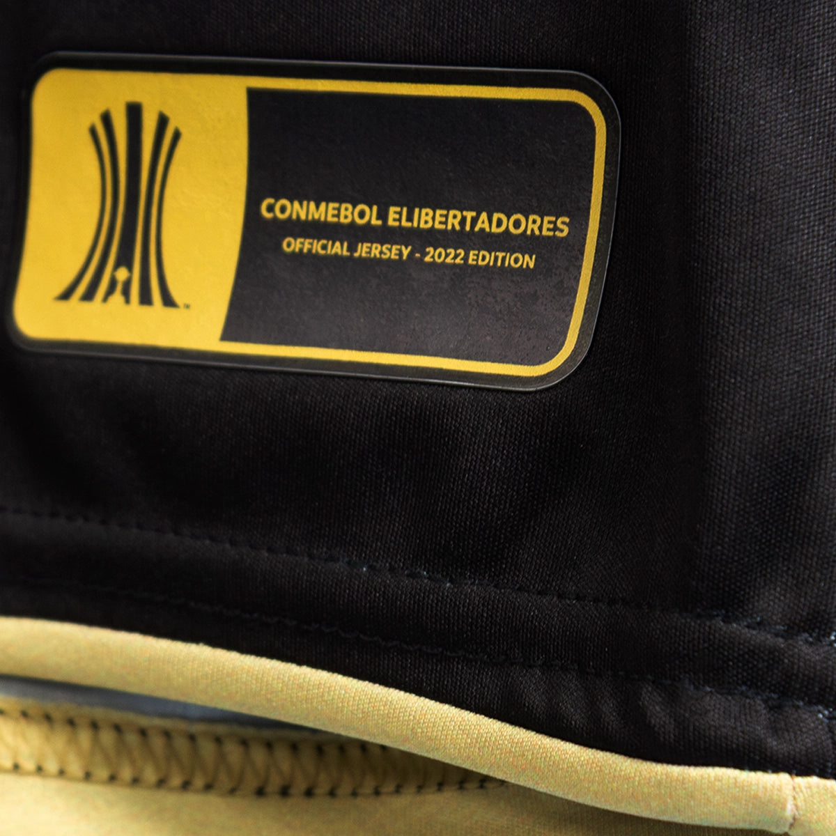 Conmebol  eLibertadores