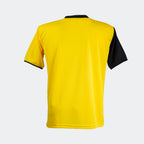 Pack de Camisetas Deportivas 14 + arquero - Modelo Holanda