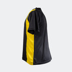Pack de Camisetas Deportivas 14 + arquero - Modelo Sica